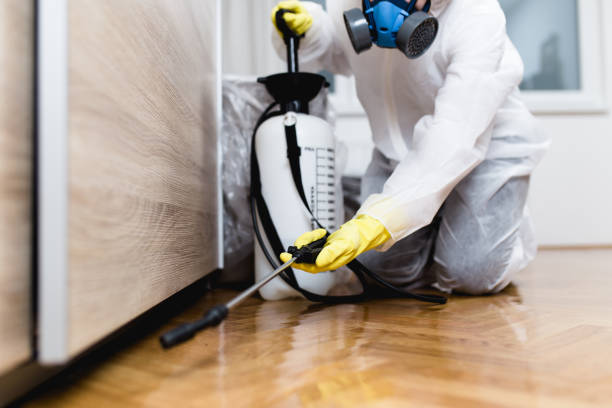 Best Best Pest Control Companies  in Mount Carroll, IL