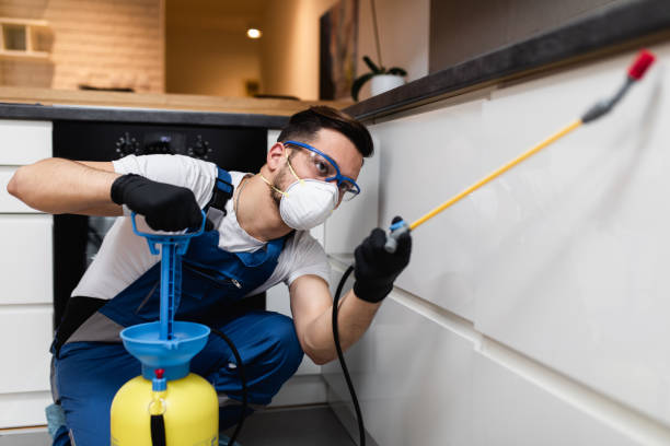 Pest Control for Restaurants in Mount Carroll, IL