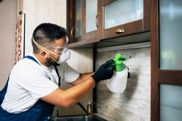 Best Pest Control Cost  in Mount Carroll, IL