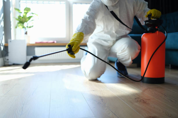 Professional Pest Control in Mount Carroll, IL