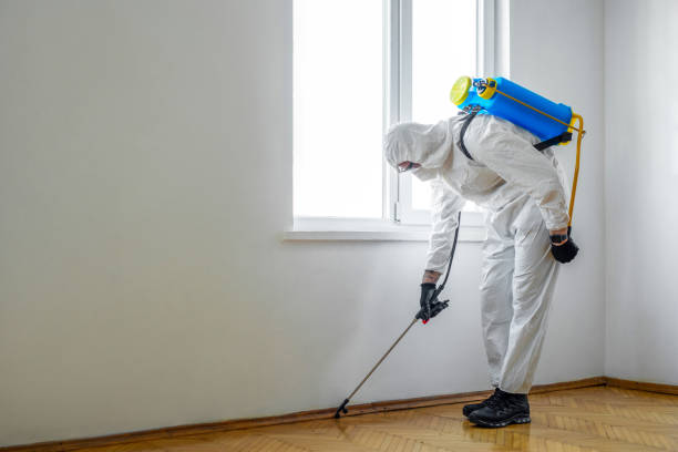 Best Wildlife Control Services  in Mount Carroll, IL