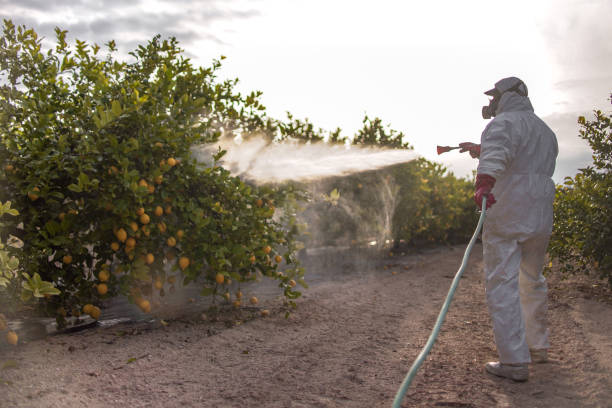 Best Affordable Pest Control Services  in Mount Carroll, IL