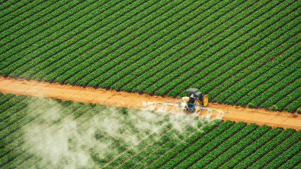 Best Mosquito Control Services  in Mount Carroll, IL
