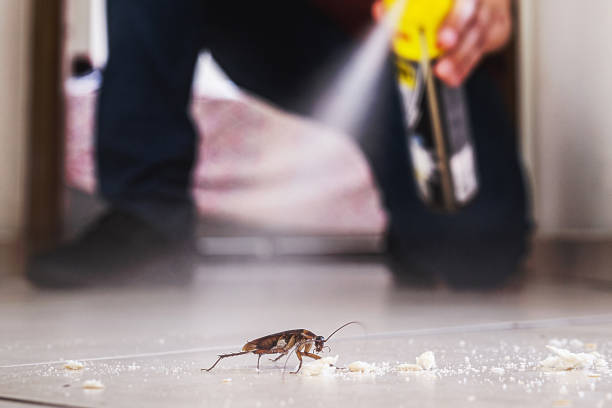 Best Best Pest Control Companies  in Mount Carroll, IL