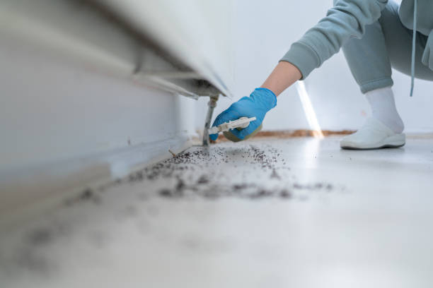 Best Residential Pest Control  in Mount Carroll, IL